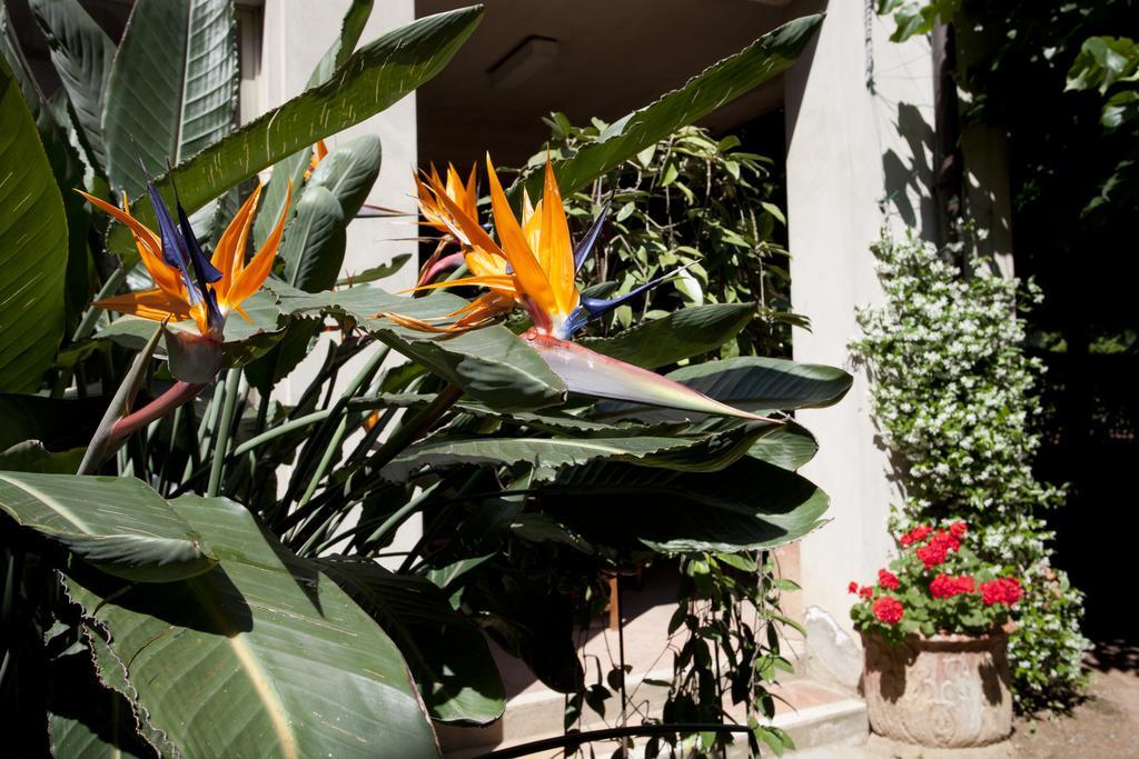 Albergo Stella Casciana Terme Exteriör bild